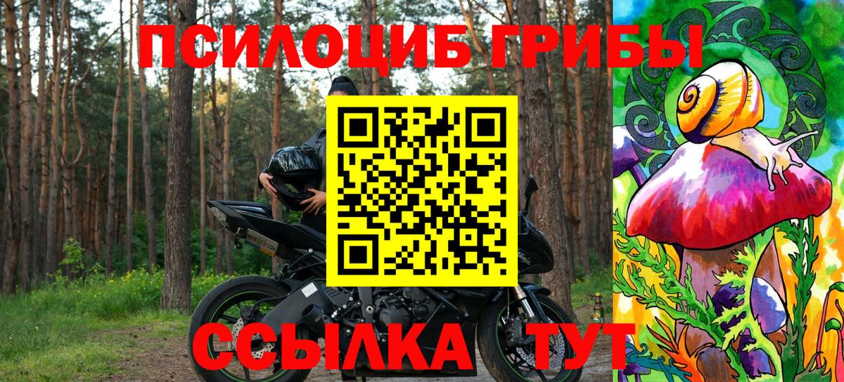 Галлюциногенные грибы ЛСД  Вход с VPN  Псилоцибиновые грибы Psilocybe  Шарыпово 